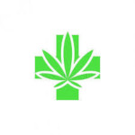 Βάμματα Μανιταριού